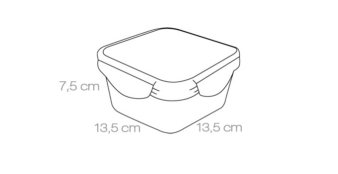 Контейнер FRESHBOX 0.7 л, квадратный Контейнер FRESHBOX 0.7 л, квадратный